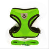 Breathable Mesh Cat Harness