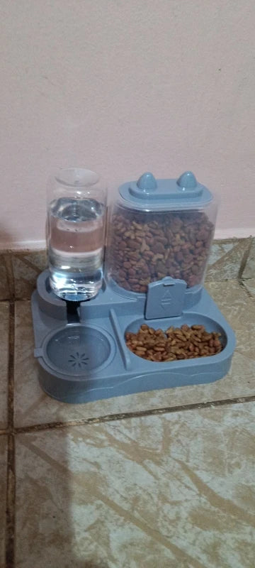 Review Card
