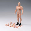 Wind Toys Flexible Male Action Figure